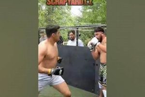 The Ultimate Guide to Backyard MMA Training | Ultimate Guide to MMA: Training, Techniques, and Top Fighters in The World