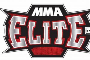 Mma Elit | Ultimate Guide to MMA: Training, Techniques, and Top Fighters in The World