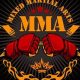 Official MMA NYC Tickets | Best Deals | Ultimate Guide to MMA: Training, Techniques, and Top Fighters in The World