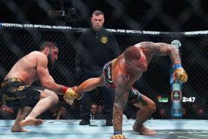 Intro to MMA 302: Alloys and Applications | Ultimate Guide to MMA: Training, Techniques, and Top Fighters in The World