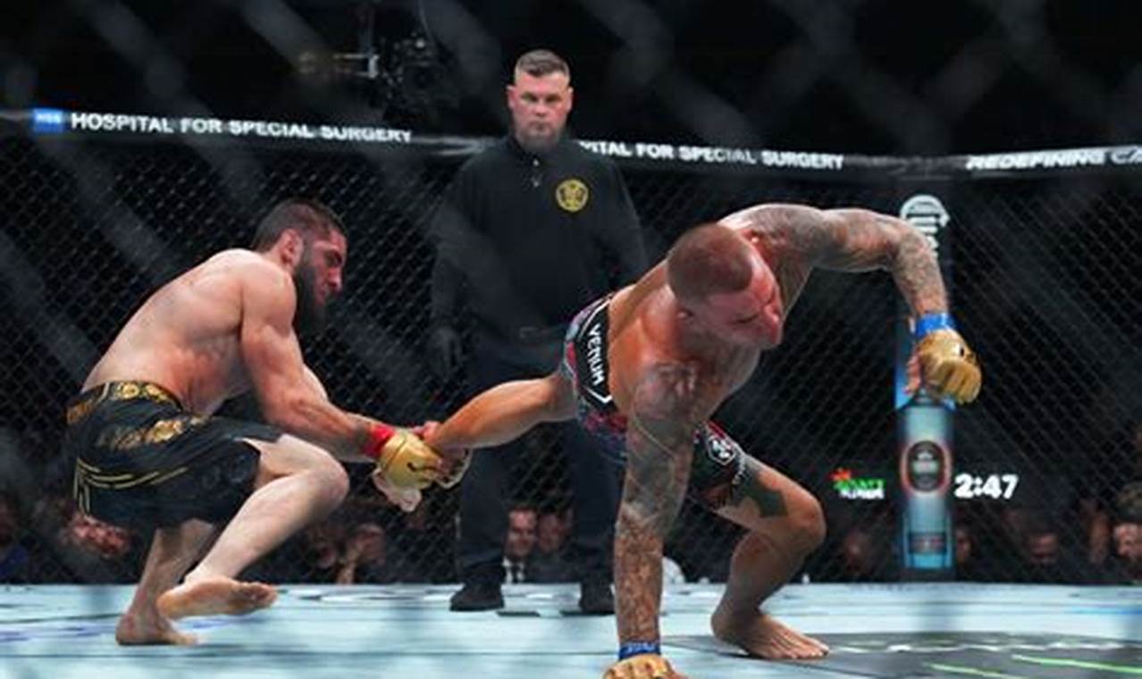 Intro to MMA 302: Alloys and Applications | Ultimate Guide to MMA: Training, Techniques, and Top Fighters in The World