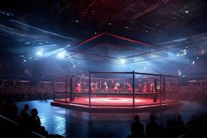 The Ultimate Guide to the Octagon MMA Ring | Ultimate Guide to MMA: Training, Techniques, and Top Fighters in The World