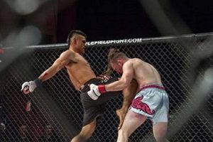 Ancient Pankration vs. Modern MMA: Is It The Same? | Ultimate Guide to MMA: Training, Techniques, and Top Fighters in The World