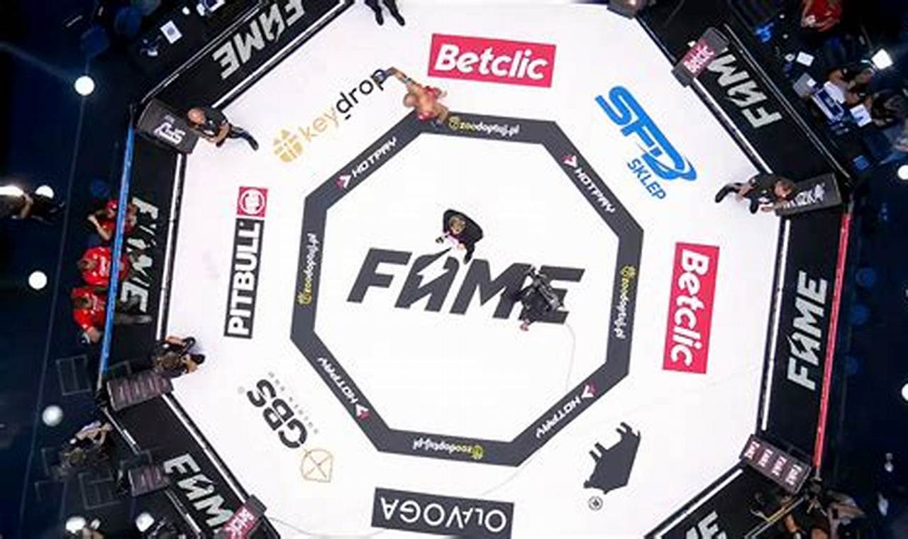 Full Fame MMA 22 Results & Fight Analysis | Ultimate Guide to MMA: Training, Techniques, and Top Fighters in The World