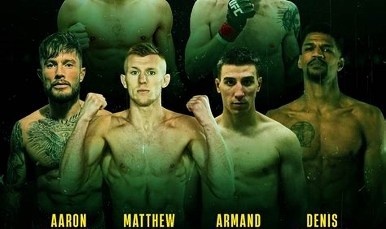 Top Ireland MMA Gyms & Fighters | Ultimate Guide to MMA: Training, Techniques, and Top Fighters in The World