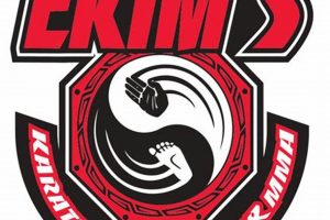 Ekim's Karate, Kickboxing & MMA Training | Ultimate Guide to MMA: Training, Techniques, and Top Fighters in The World