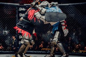 Midevil Mma | Ultimate Guide to MMA: Training, Techniques, and Top Fighters in The World