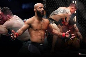 Ultimate Guide to Flyweight in MMA: Tips & Tricks | Ultimate Guide to MMA: Training, Techniques, and Top Fighters in The World