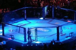 Mma Octagon | Ultimate Guide to MMA: Training, Techniques, and Top Fighters in The World
