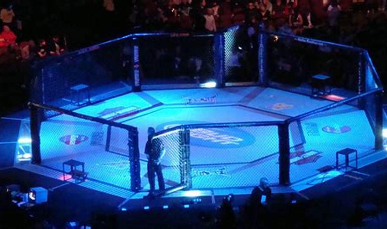 Mma Octagon | Ultimate Guide to MMA: Training, Techniques, and Top Fighters in The World