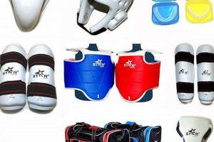 Best MMA Sparring Gear Set: Top Protection | Ultimate Guide to MMA: Training, Techniques, and Top Fighters in The World