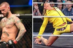 Top WWE & MMA: Stars, Fights & More | Ultimate Guide to MMA: Training, Techniques, and Top Fighters in The World