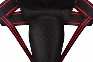 Best MMA Cup Guard: Ultimate Protection & Comfort | Ultimate Guide to MMA: Training, Techniques, and Top Fighters in The World