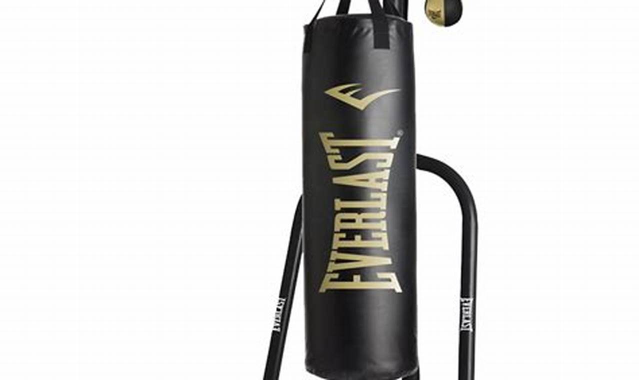 Best Punching Bags for MMA Training & Fitness | Ultimate Guide to MMA: Training, Techniques, and Top Fighters in The World