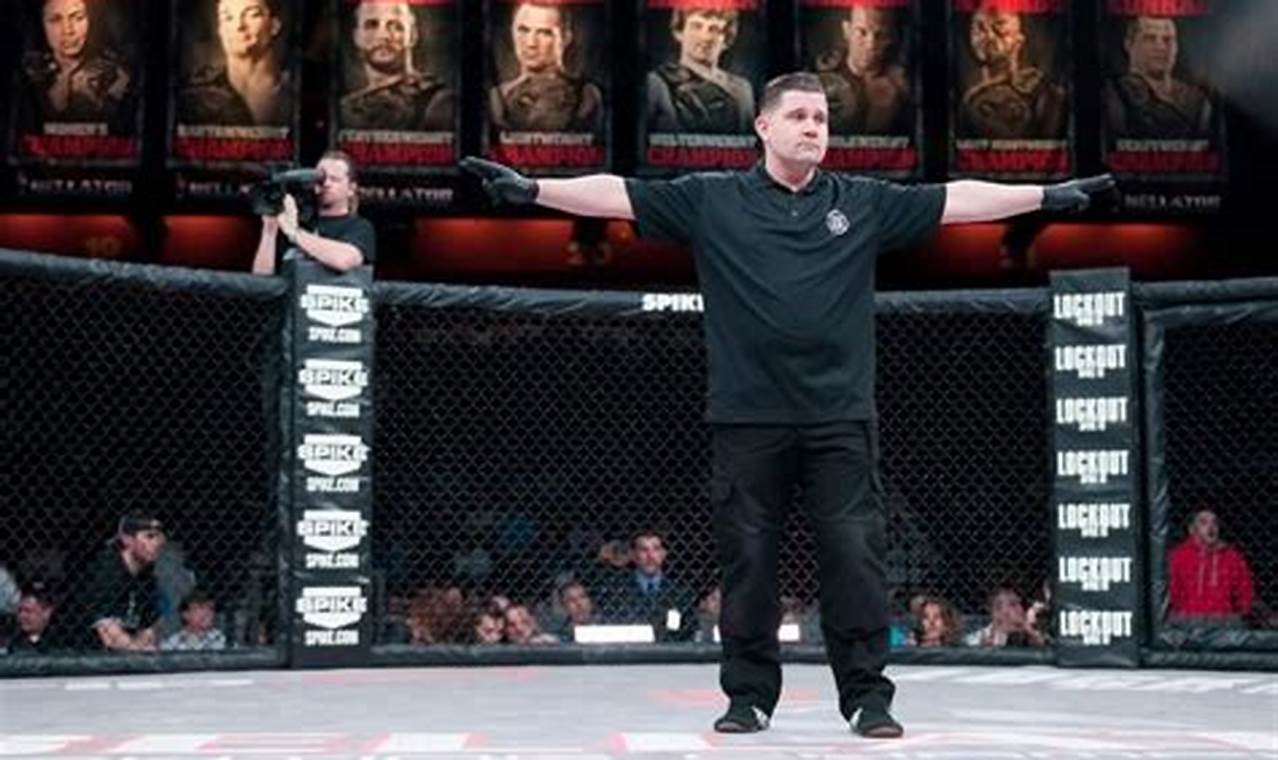 Become an MMA Referee: Jobs & Careers | Ultimate Guide to MMA: Training, Techniques, and Top Fighters in The World