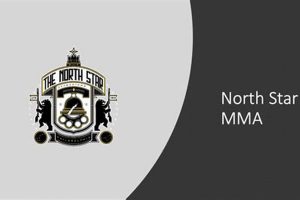 North Star Mma | Ultimate Guide to MMA: Training, Techniques, and Top Fighters in The World