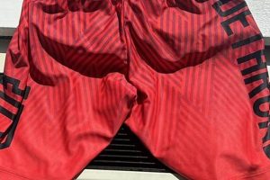 Best Dethrone MMA Shorts: Top Picks & Reviews | Ultimate Guide to MMA: Training, Techniques, and Top Fighters in The World