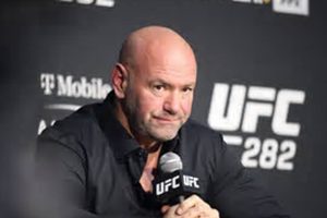 Amy Kaplan on MMA Ethics & Philosophy | Ultimate Guide to MMA: Training, Techniques, and Top Fighters in The World