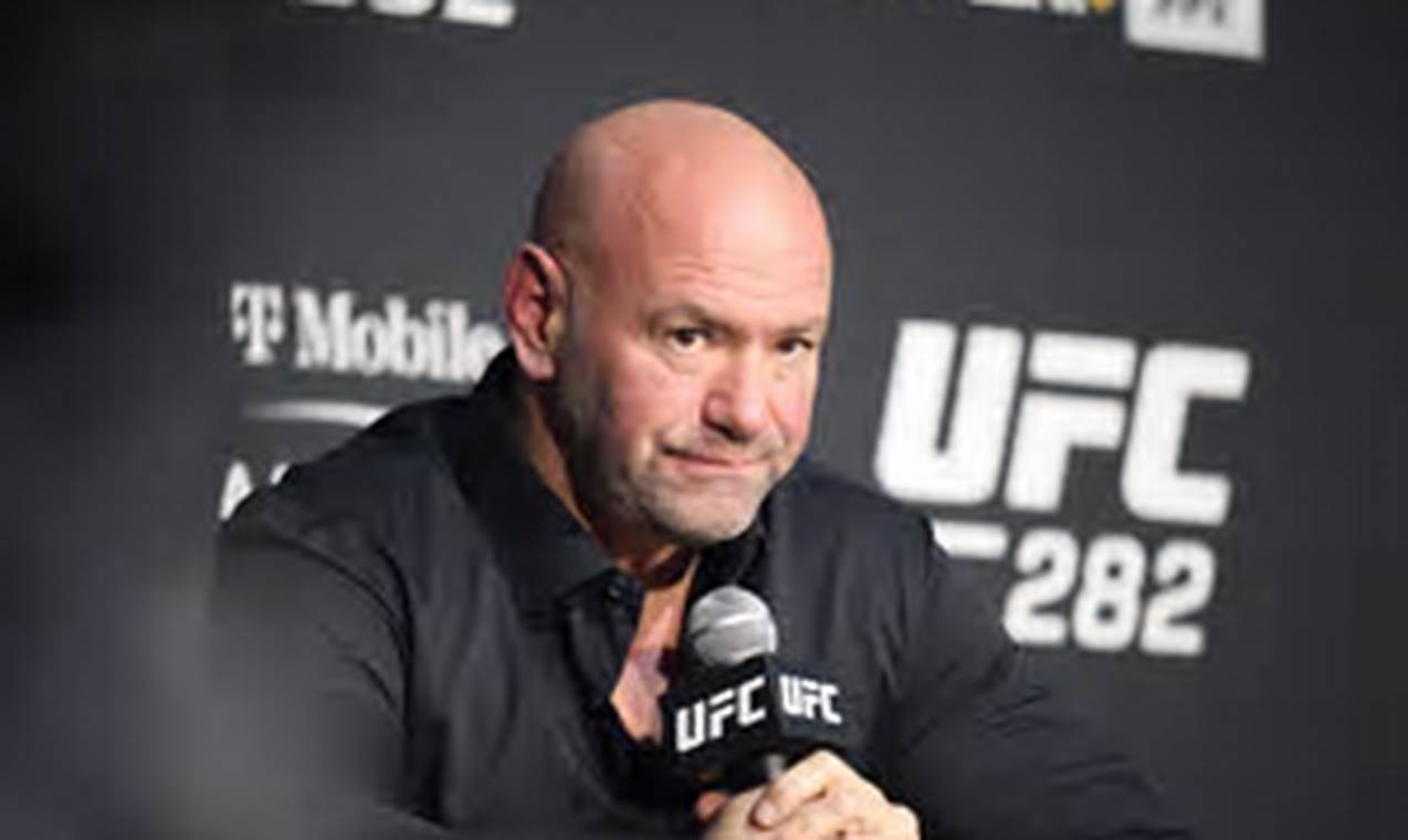 Amy Kaplan on MMA Ethics & Philosophy | Ultimate Guide to MMA: Training, Techniques, and Top Fighters in The World