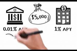 Best Chase MMA Rates & Offers: Current APY | Ultimate Guide to MMA: Training, Techniques, and Top Fighters in The World