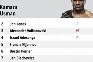 Ultimate MMA P4P Rankings & Analysis | Ultimate Guide to MMA: Training, Techniques, and Top Fighters in The World
