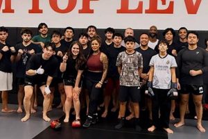 Top Level Mma Niles Il | Ultimate Guide to MMA: Training, Techniques, and Top Fighters in The World