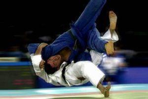 Dominate MMA with Judo Techniques & Strategies | Ultimate Guide to MMA: Training, Techniques, and Top Fighters in The World