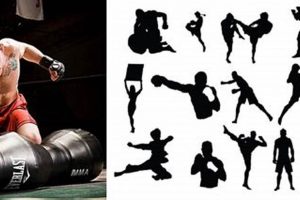 Ultimate Guide to Artes Marciales MMA Training | Ultimate Guide to MMA: Training, Techniques, and Top Fighters in The World