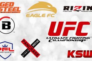 Top 10 Biggest MMA Organizations Worldwide | Ultimate Guide to MMA: Training, Techniques, and Top Fighters in The World