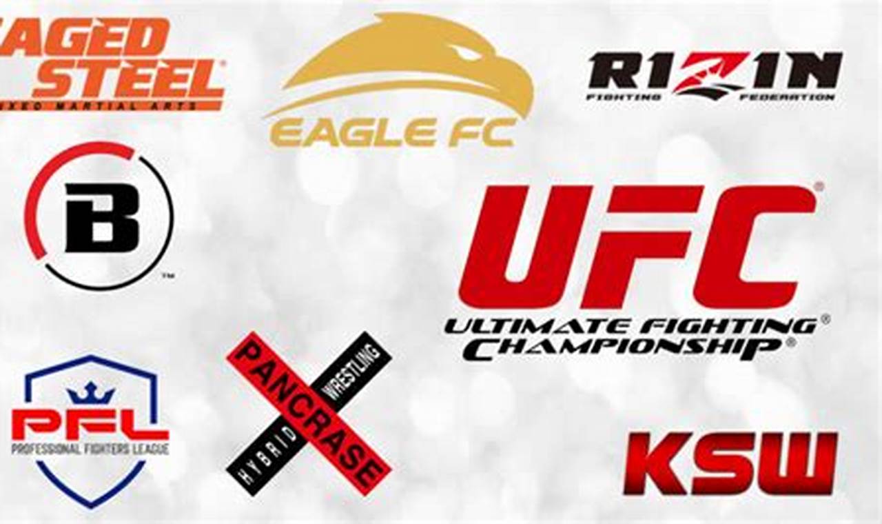 Top 10 Biggest MMA Organizations Worldwide Ultimate Guide to MMA: Training, Techniques, and Top Fighters in The World Top 10 Biggest MMA Organizations Worldwide | Ultimate Guide to MMA: Training, Techniques, and Top Fighters in The World