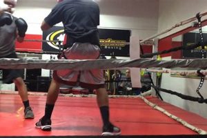 Rounders Mma Boxing | Ultimate Guide to MMA: Training, Techniques, and Top Fighters in The World