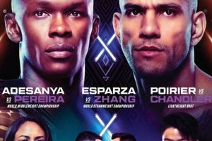 Learn MMA: Ultimate Fighting Guide | Ultimate Guide to MMA: Training, Techniques, and Top Fighters in The World