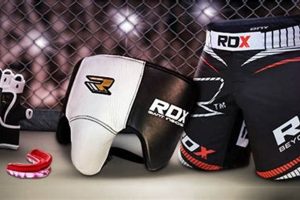 Top MMA Brands: Gear & Apparel Guide | Ultimate Guide to MMA: Training, Techniques, and Top Fighters in The World