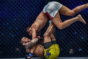 Dominate MMA with BJJ Fundamentals | Ultimate Guide to MMA: Training, Techniques, and Top Fighters in The World