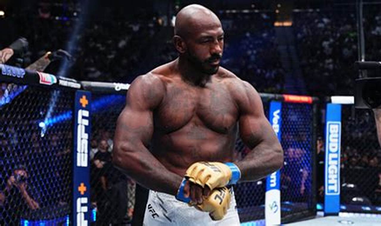 The Ultimate Guide to Roundtree MMA Training | Ultimate Guide to MMA: Training, Techniques, and Top Fighters in The World