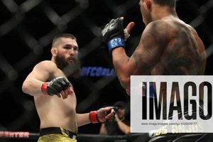 Best MMA Gyms & Training in Orlando, Florida | Ultimate Guide to MMA: Training, Techniques, and Top Fighters in The World