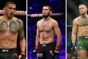 Ultimate Guide to MMA Lightweight Weight Class | Ultimate Guide to MMA: Training, Techniques, and Top Fighters in The World