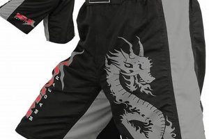 Best MMA Fight Trunks: Guide & Reviews | Ultimate Guide to MMA: Training, Techniques, and Top Fighters in The World