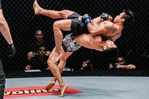 Top MMA Wrestler Training & Fight Strategies | Ultimate Guide to MMA: Training, Techniques, and Top Fighters in The World