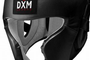 Best MMA Headgear: Top Gear for Protection | Ultimate Guide to MMA: Training, Techniques, and Top Fighters in The World