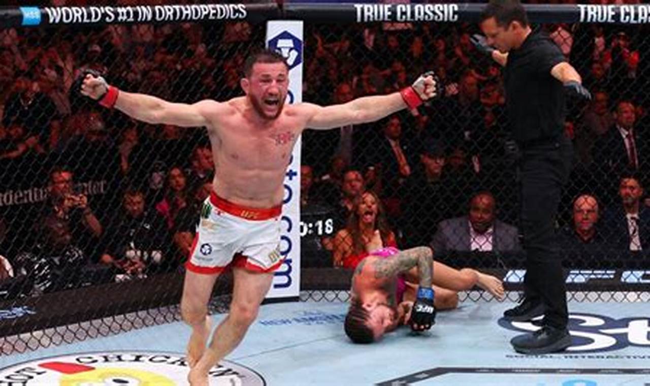 Mma Reg Ultimate Guide to MMA: Training, Techniques, and Top Fighters in The World Mma Reg | Ultimate Guide to MMA: Training, Techniques, and Top Fighters in The World