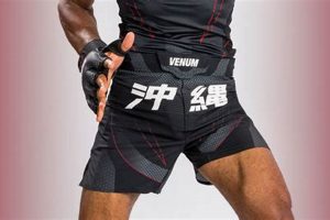 Best MMA Stuff & Gear Guide Ultimate Guide to MMA: Training, Techniques, and Top Fighters in The World Best MMA Stuff & Gear Guide | Ultimate Guide to MMA: Training, Techniques, and Top Fighters in The World