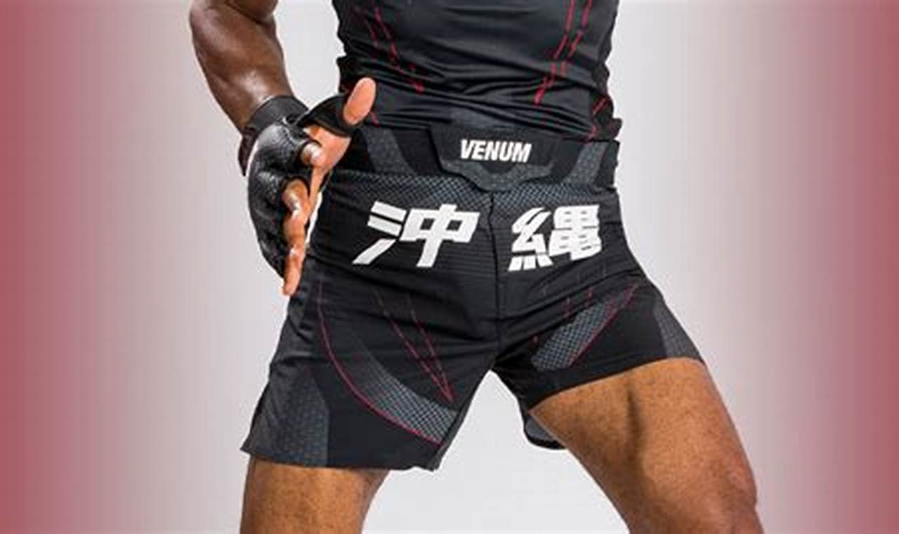 Best MMA Stuff & Gear Guide Ultimate Guide to MMA: Training, Techniques, and Top Fighters in The World Best MMA Stuff & Gear Guide | Ultimate Guide to MMA: Training, Techniques, and Top Fighters in The World