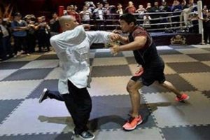 Tai Chi vs. MMA: Which Martial Art Is Right for You? Ultimate Guide to MMA: Training, Techniques, and Top Fighters in The World Tai Chi vs. MMA: Which Martial Art Is Right for You? | Ultimate Guide to MMA: Training, Techniques, and Top Fighters in The World