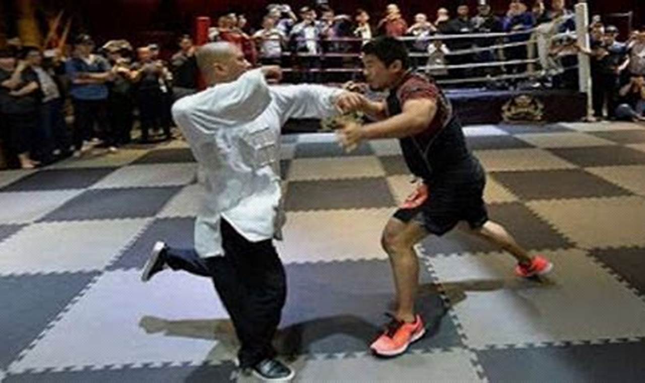Tai Chi vs. MMA: Which Martial Art Is Right for You? | Ultimate Guide to MMA: Training, Techniques, and Top Fighters in The World