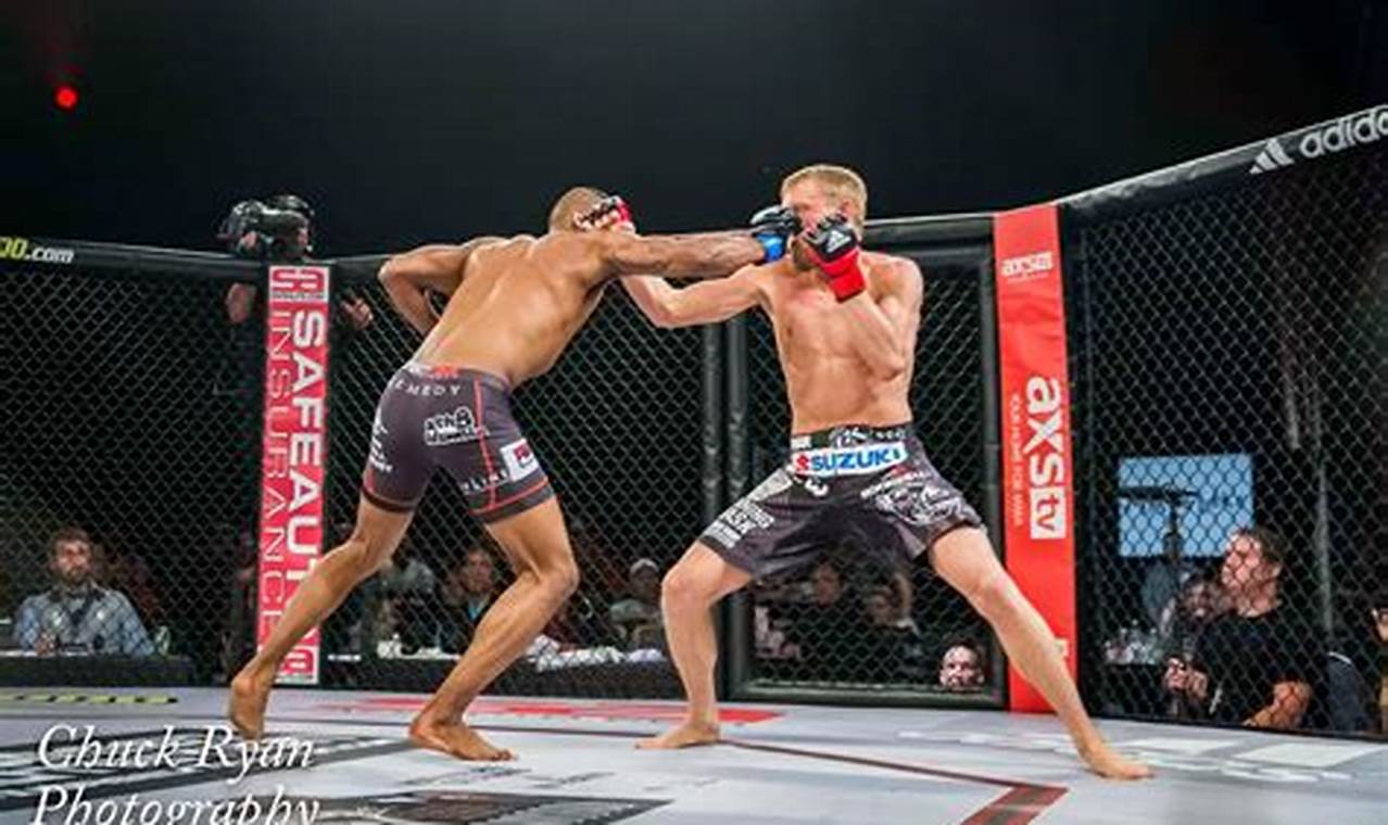 Ultimate MMA Fights in MN: Live Events Ultimate Guide to MMA: Training, Techniques, and Top Fighters in The World Ultimate MMA Fights in MN: Live Events | Ultimate Guide to MMA: Training, Techniques, and Top Fighters in The World