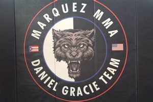 The Marquez Legacy in MMA Fighting Ultimate Guide to MMA: Training, Techniques, and Top Fighters in The World The Marquez Legacy in MMA Fighting | Ultimate Guide to MMA: Training, Techniques, and Top Fighters in The World