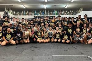 The Ultimate Guide to Subfighter MMA Training | Ultimate Guide to MMA: Training, Techniques, and Top Fighters in The World