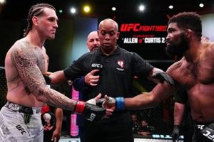 The Final Verdict: MMA Fight Outcomes Explained | Ultimate Guide to MMA: Training, Techniques, and Top Fighters in The World