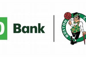 Maximize Your Savings: TD Bank MMA Guide | Ultimate Guide to MMA: Training, Techniques, and Top Fighters in The World